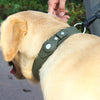 AIRTAG DOG NECKLACE  - UP TO 50% OFF LAST DAY SALE